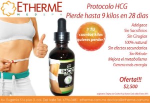 protocolohcg
